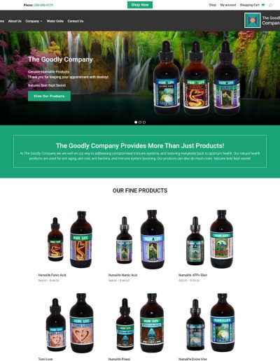 The Goodly Company Store - example website image